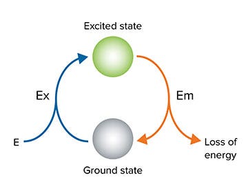 Excitation and short-lived Emission