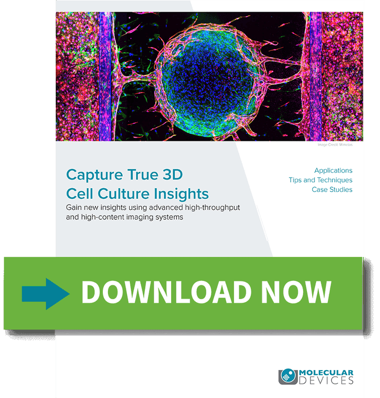 Capture True 3D Cell Culture Insights