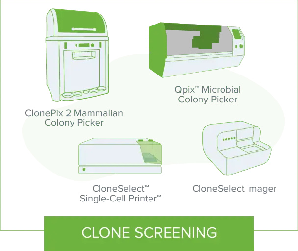 Clone Screening